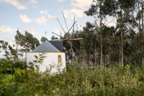 Delightful forest windmill, 10 min away from the beach